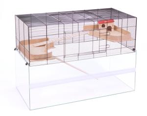 Falco 100 czarny/przezroczysty thumbnail