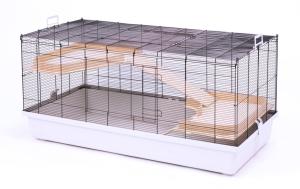 Roy 120 czarny/jasnoszary