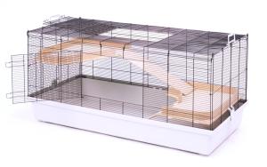 Roy 120 czarny/jasnoszary