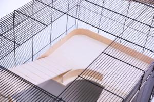 Roy 120 czarny/jasnoszary