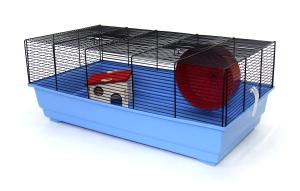 Topolino 4er Set czarny/kolorowy